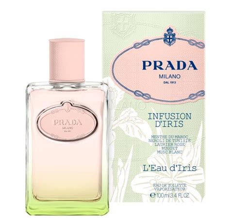 infusion d'iris eau de toilette|infusion d'iris perfume.